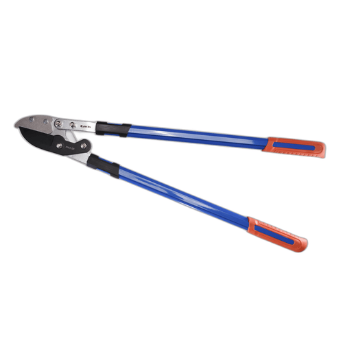 JACTO pm31.png JACTO pm31.png